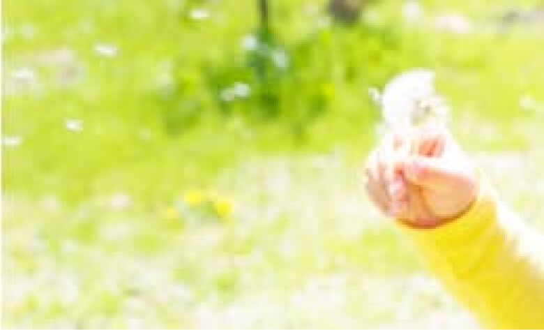綿毛を飛ばす様子